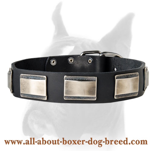 Leather Dog Collar - Hand Made Carved Dog Collar