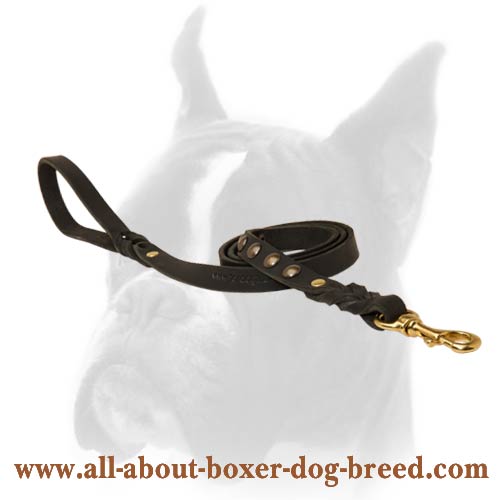 Get Wide Walking Leather Dog Collar, Brass Studs