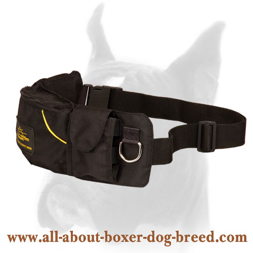 Pouch for 2024 dog collar