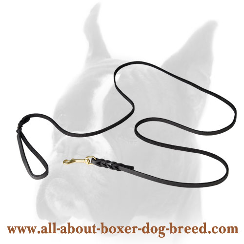 Extremely long Boxer Leather Leash with Brass Snap Hook