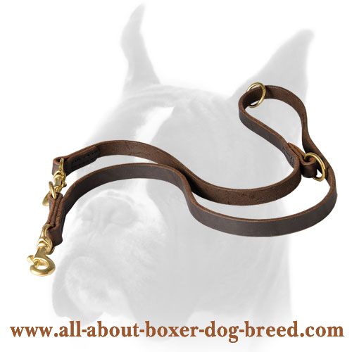 Multifunctional Leather Leash for Boxer