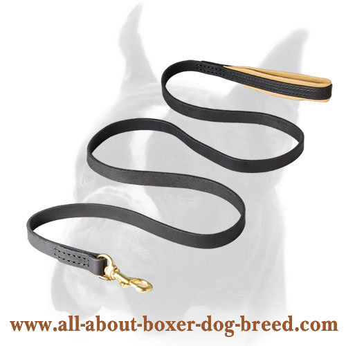 Long-servicing leather Boxer leash for walking and training
