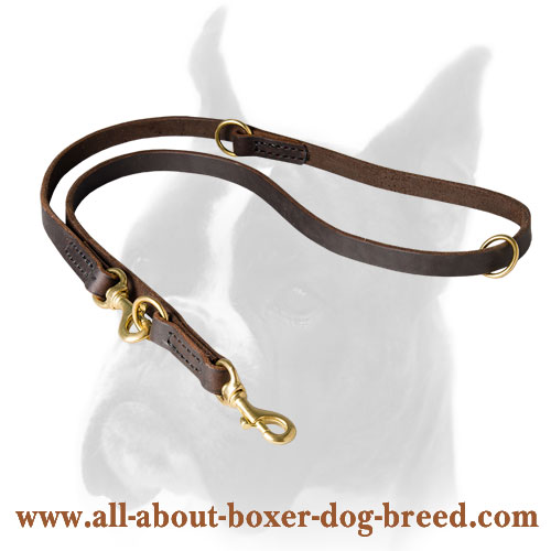 Brass Snap Hooks and O-rings for Boxer Leash