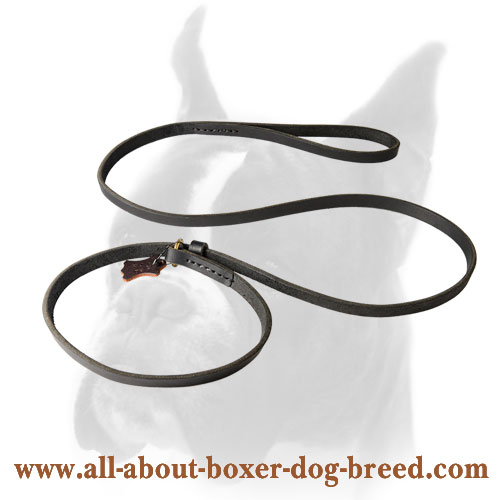 Boxer Leather Leash 2 in 1