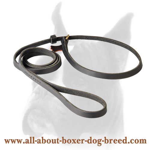 Boxer Slip Leash with O-ring