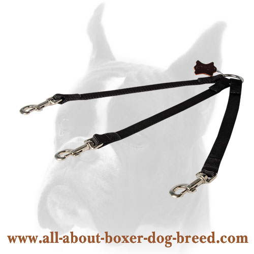 Boxer leash coupler for easy walking