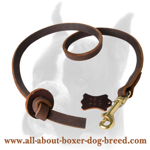 Leather leash with pupp tab for Boxer