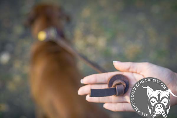 Boxer leather-leash with rust-resistant hardware for any activity