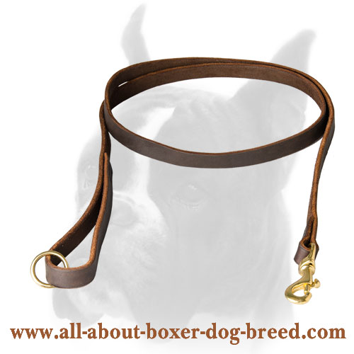 Functional Boxer leash of genuine leather