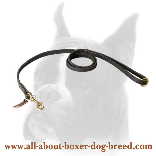 Strong leather Boxer leash for walking