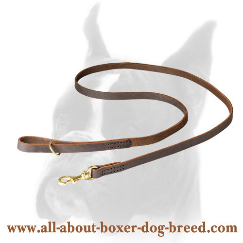 Comfortable Boxer Leather Leash with brass snap hook